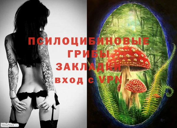 герыч Алексин