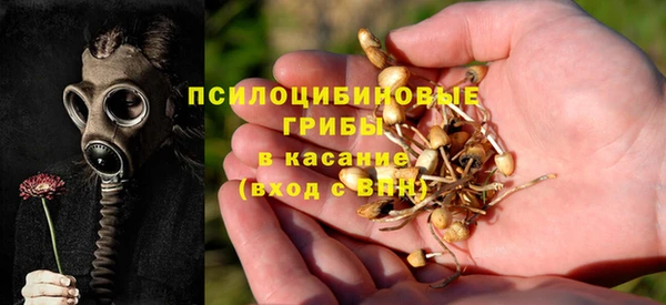 герыч Алексин