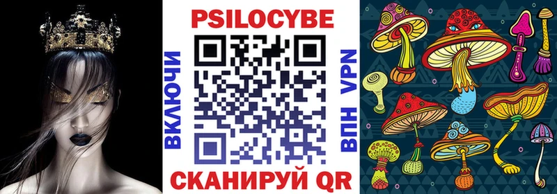 Псилоцибиновые грибы мицелий  купить наркотик  Оленегорск 